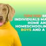 Tips for busy individuals managing home and homeschooling with boys and a dog.