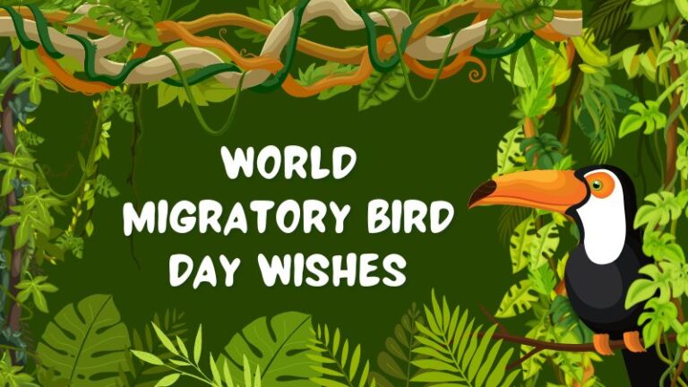 World Migratory Bird Day Wishes