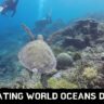 Celebrating World Oceans Day 2023