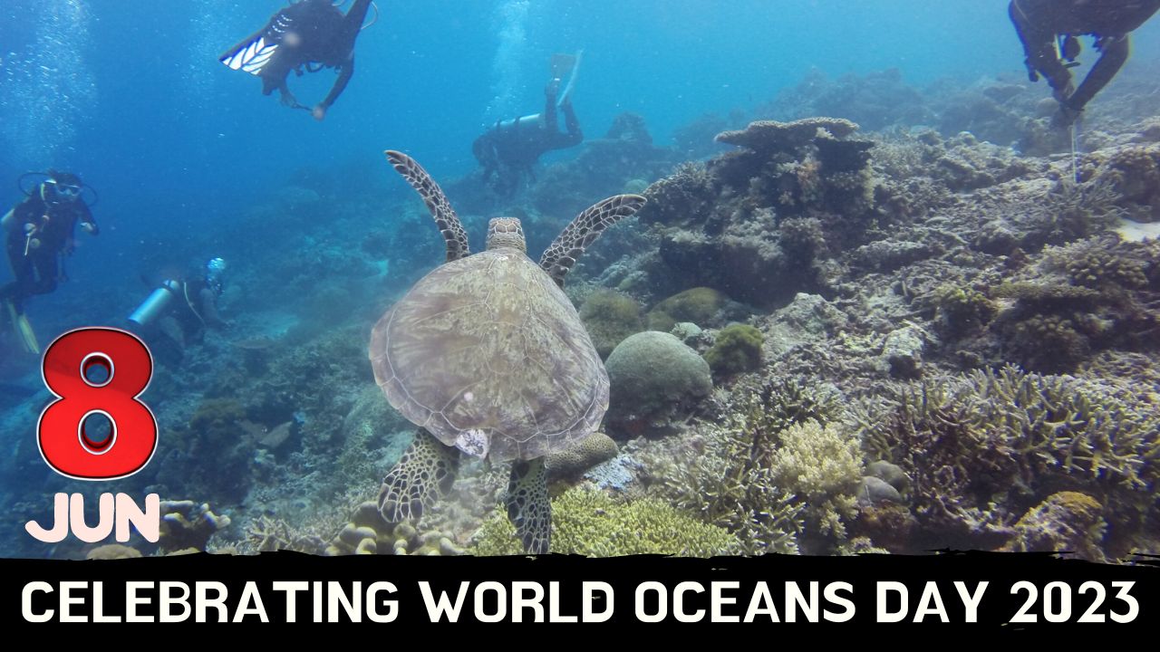 Celebrating World Oceans Day 2023