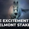 The Excitement of Belmont Stakes
