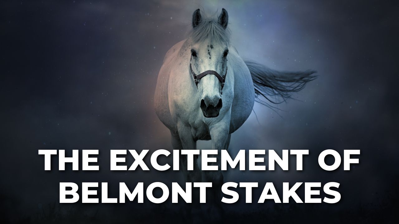 The Excitement of Belmont Stakes