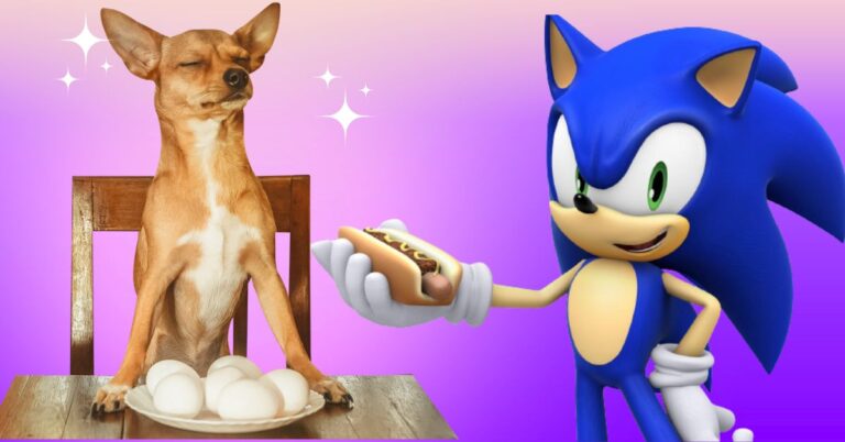 sonic chili dog