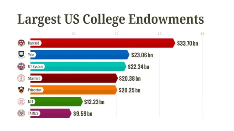 What public university has the largest endowment?