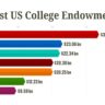 What public university has the largest endowment?