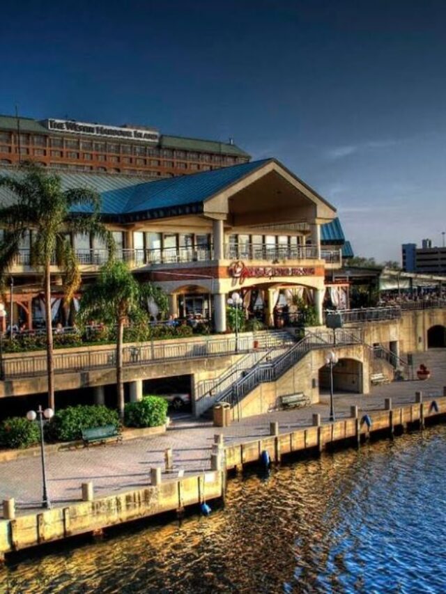 Best Restaurants Tampa Riverwalk