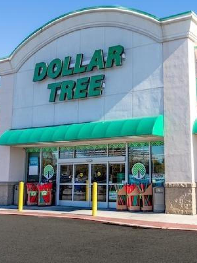 In 2024 these 9 kitchen items from Dollar Tree will help you save money
